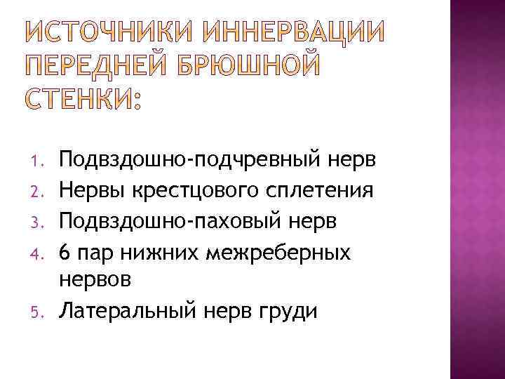 1. 2. 3. 4. 5. Подвздошно-подчревный нерв Нервы крестцового сплетения Подвздошно-паховый нерв 6 пар