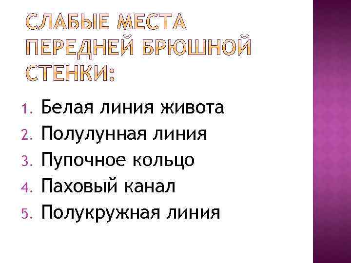 1. 2. 3. 4. 5. Белая линия живота Полулунная линия Пупочное кольцо Паховый канал