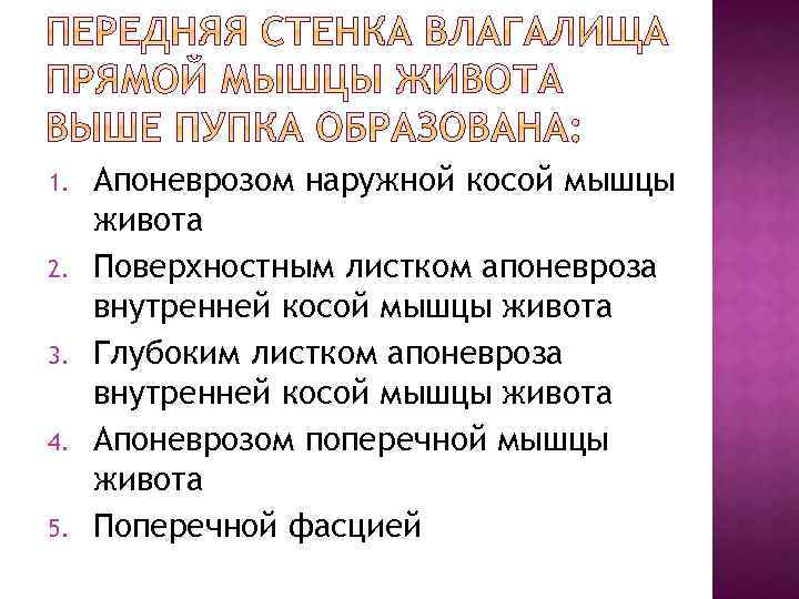 1. 2. 3. 4. 5. Апоневрозом наружной косой мышцы живота Поверхностным листком апоневроза внутренней