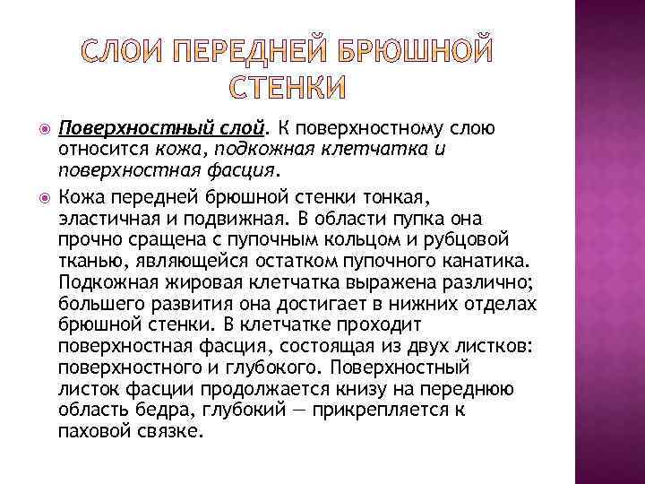  Поверхностный слой. К поверхностному слою относится кожа, подкожная клетчатка и поверхностная фасция. Кожа