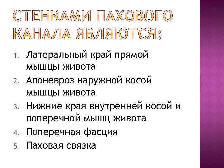 1. 2. 3. 4. 5. Латеральный край прямой мышцы живота Апоневроз наружной косой мышцы