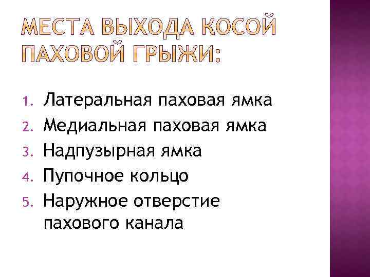 1. 2. 3. 4. 5. Латеральная паховая ямка Медиальная паховая ямка Надпузырная ямка Пупочное