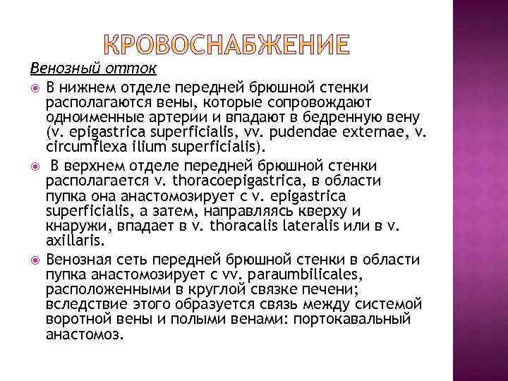 Венозный отток В нижнем отделе передней брюшной стенки располагаются вены, которые сопровождают одноименные артерии