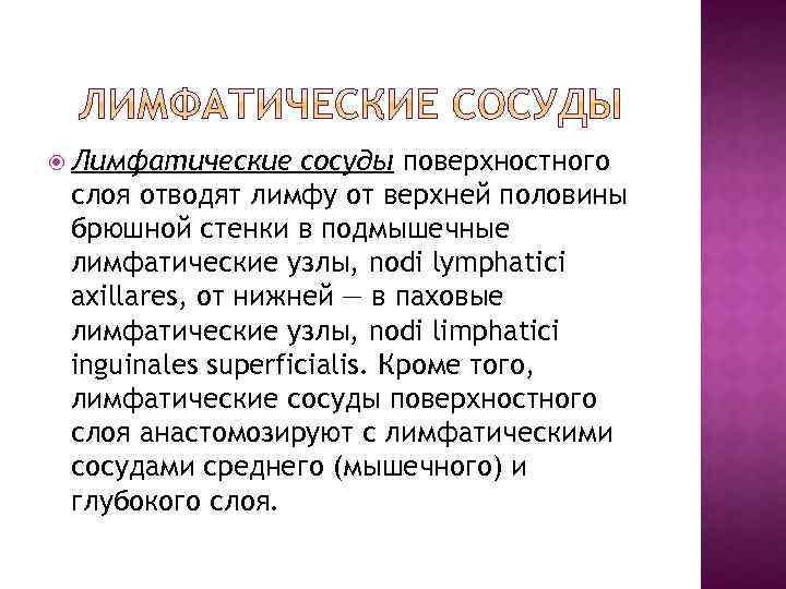  Лимфатические сосуды поверхностного слоя отводят лимфу от верхней половины брюшной стенки в подмышечные