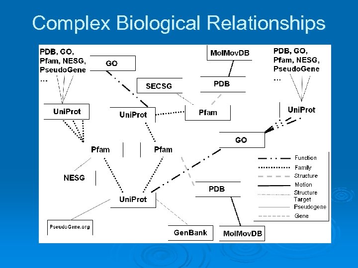 Complex Biological Relationships 