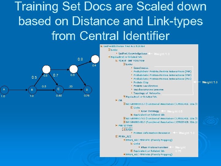 Training Set Docs are Scaled down based on Distance and Link-types from Central Identifier