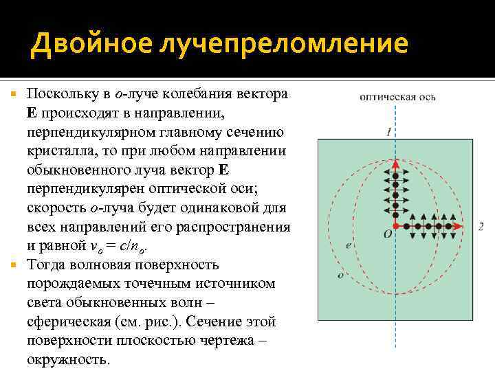 Двойное лучепреломление Поскольку в о-луче колебания вектора E происходят в направлении, перпендикулярном главному сечению