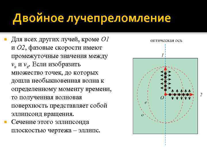 Двойное лучепреломление Для всех других лучей, кроме O 1 и O 2, фазовые скорости