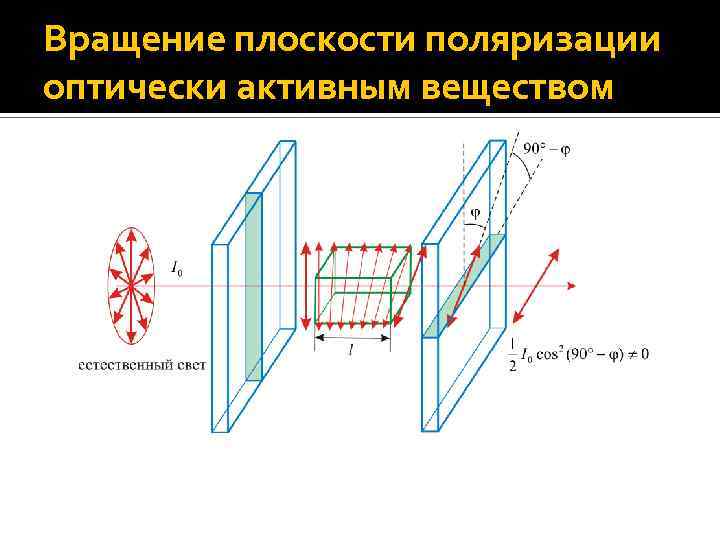 Вращение плоскости поляризации оптически активным веществом 