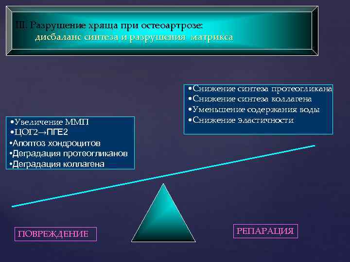 III. Разрушение хряща при остеоартрозе: дисбаланс синтеза и разрушения матрикса • Увеличение ММП •