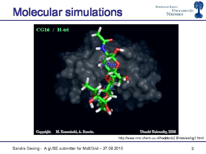 Molecular simulations http: //www. nmr. chem. uu. nl/haddock 2. 0/movies/cg 1. html Sandra Gesing