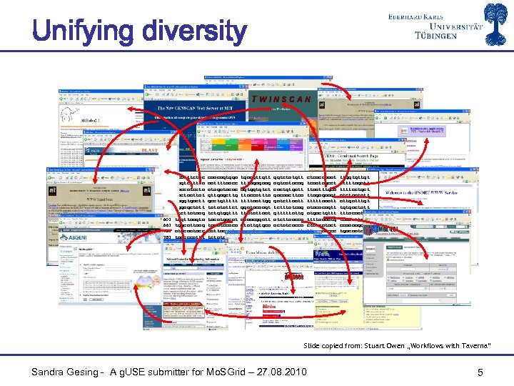 Unifying diversity 12181 12241 12301 12361 12421 12481 12541 12601 12661 12721 12781 acatttctac