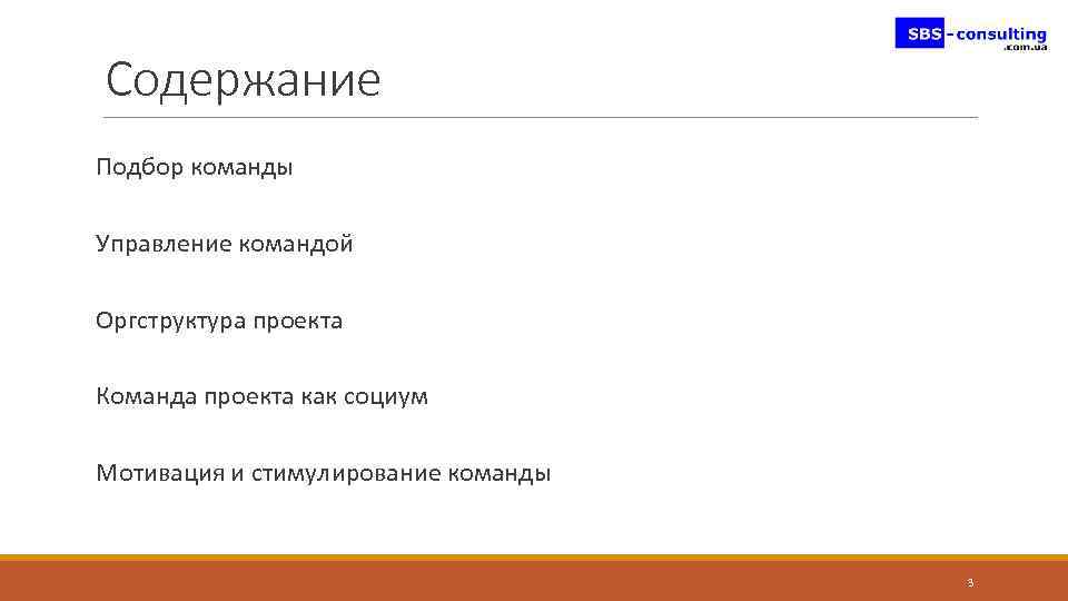 Содержание Подбор команды Управление командой Оргструктура проекта Команда проекта как социум Мотивация и стимулирование