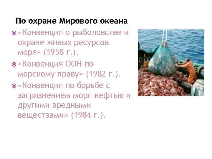 По охране Мирового океана «Конвенция о рыболовстве и охране живых ресурсов моря» (1958 г.