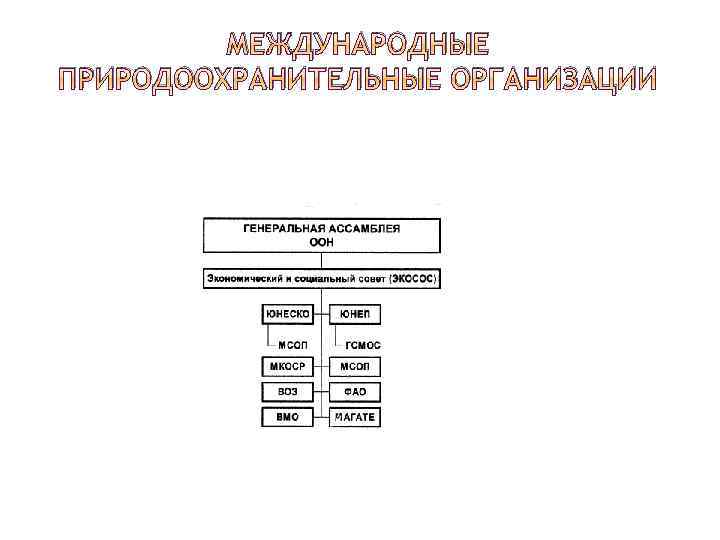 МЕЖДУНАРОДНЫЕ ПРИРОДООХРАНИТЕЛЬНЫЕ ОРГАНИЗАЦИИ 