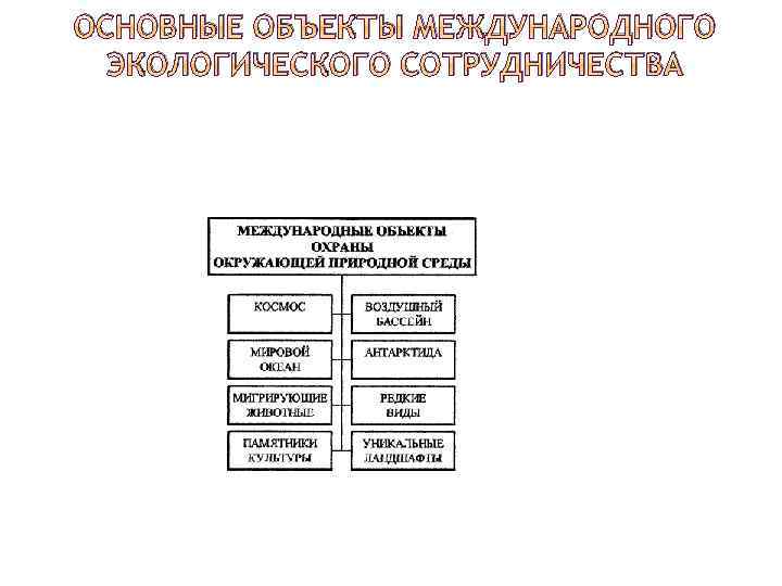 ОСНОВНЫЕ ОБЪЕКТЫ МЕЖДУНАРОДНОГО ЭКОЛОГИЧЕСКОГО СОТРУДНИЧЕСТВА 