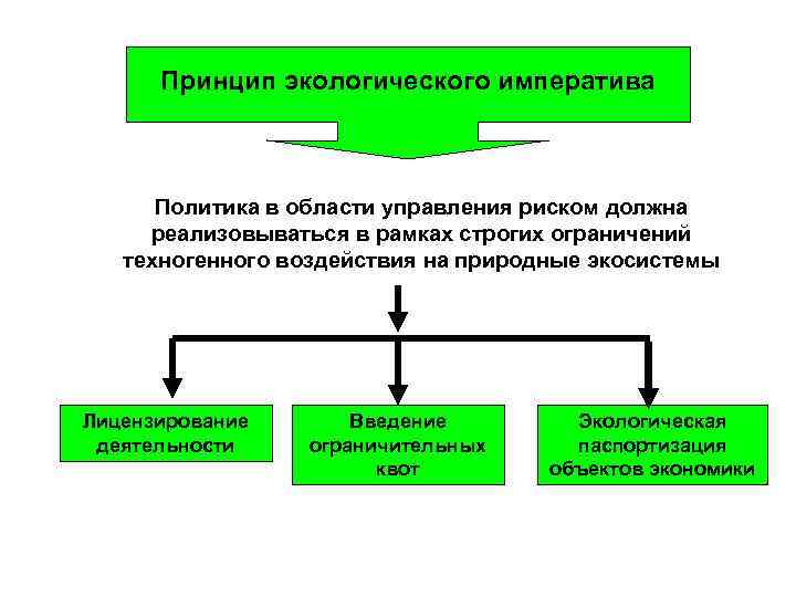 Принцип экологического императива Политика в области управления риском должна реализовываться в рамках строгих ограничений
