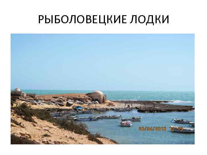 РЫБОЛОВЕЦКИЕ ЛОДКИ 