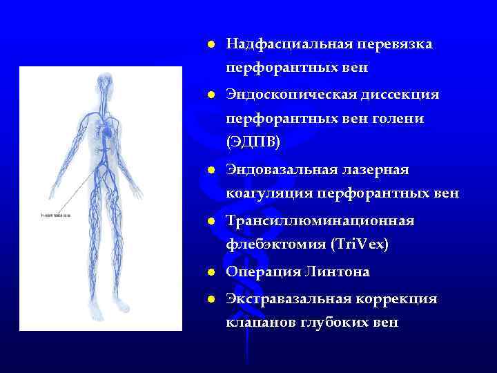 l Надфасциальная перевязка перфорантных вен l Эндоскопическая диссекция перфорантных вен голени (ЭДПВ) l Эндовазальная
