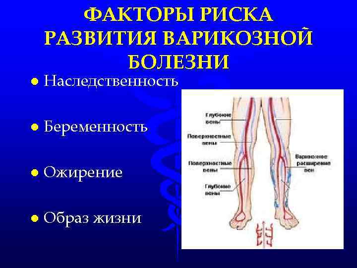 ФАКТОРЫ РИСКА РАЗВИТИЯ ВАРИКОЗНОЙ БОЛЕЗНИ l Наследственность l Беременность l Ожирение l Образ жизни