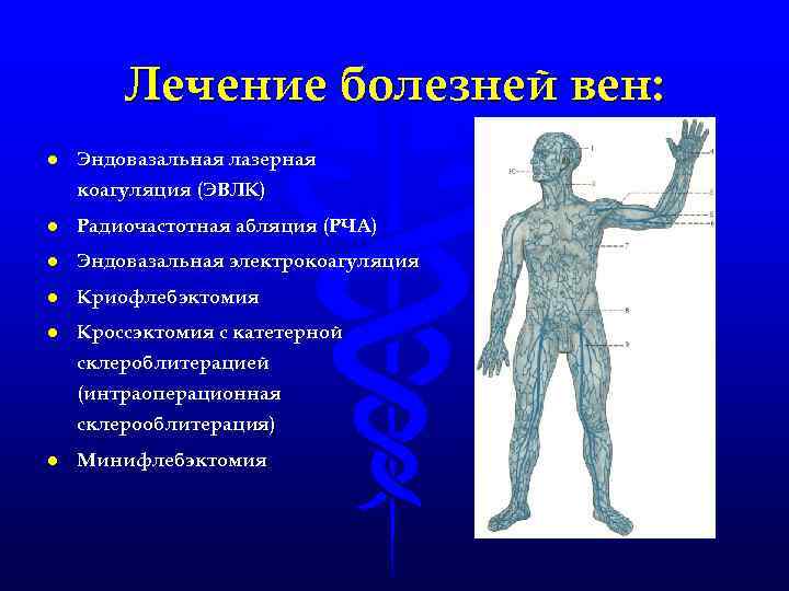 Лечение болезней вен: l Эндовазальная лазерная коагуляция (ЭВЛК) l Радиочастотная абляция (РЧА) l Эндовазальная