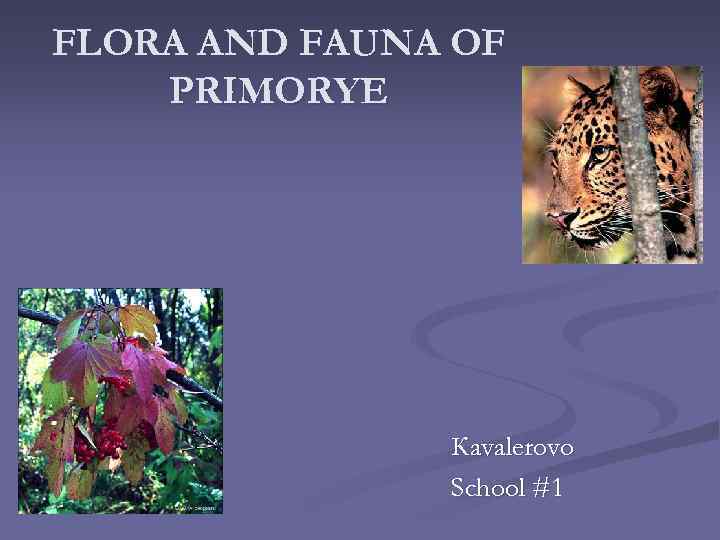 FLORA AND FAUNA OF PRIMORYE Кavalerovo School #1 