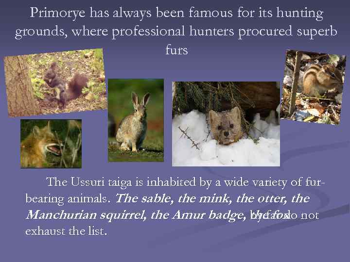 Primorye has always been famous for its hunting grounds, where professional hunters procured superb