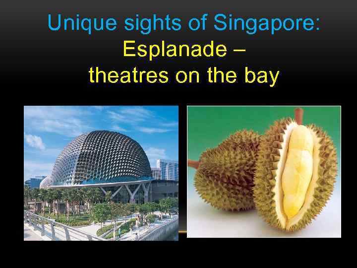 Unique sights of Singapore: Esplanade – theatres on the bay 