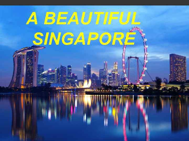 A BEAUTIFUL SINGAPORE 