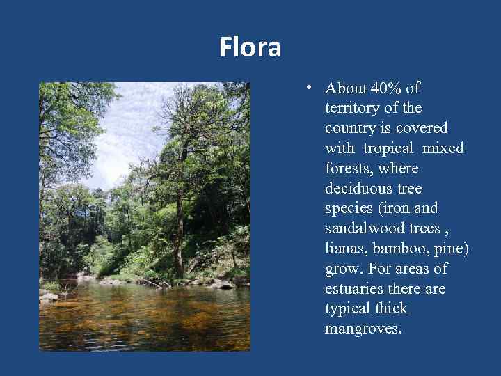 Flora • About 40% of territory of the country is covered with tropical mixed