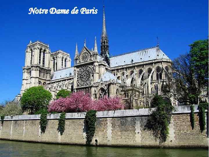 Notre Dame de Paris 