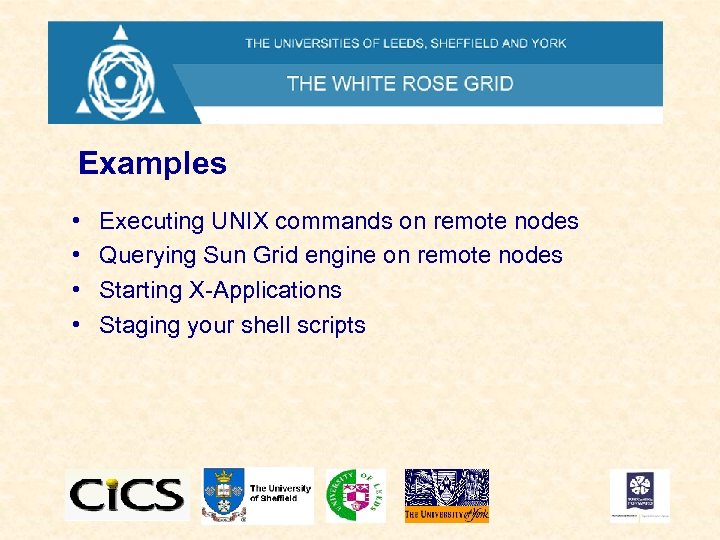Examples • • Executing UNIX commands on remote nodes Querying Sun Grid engine on