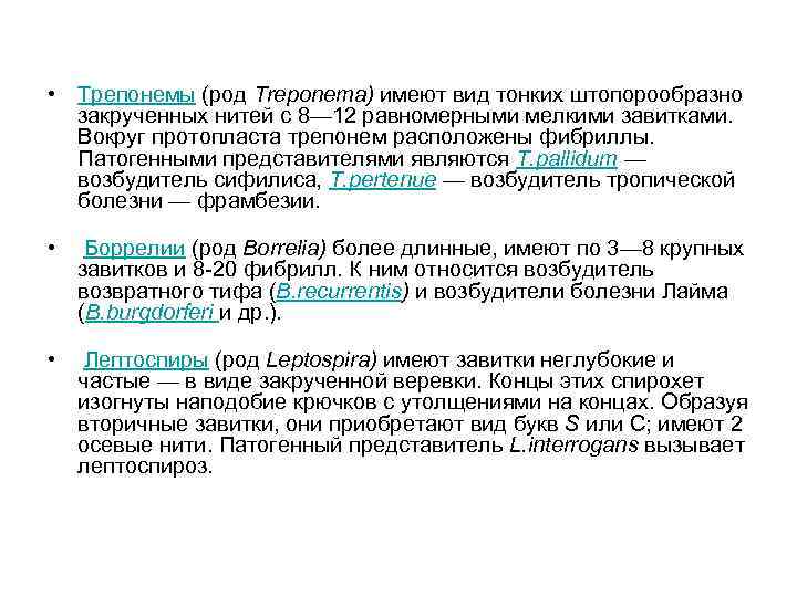  • Трепонемы (род Тrероnеmа) имеют вид тонких штопорообразно закрученных нитей с 8— 12