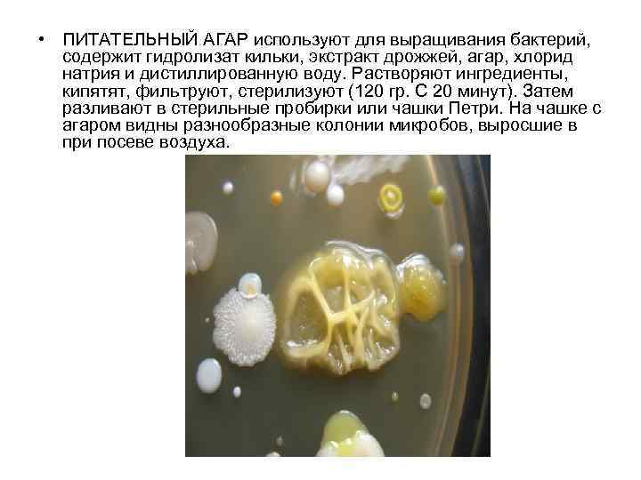  • ПИТАТЕЛЬНЫЙ АГАР используют для выращивания бактерий, содержит гидролизат кильки, экстракт дрожжей, агар,