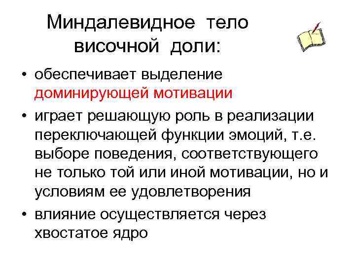 Миндалевидное тело височной доли: • обеспечивает выделение доминирующей мотивации • играет решающую роль в