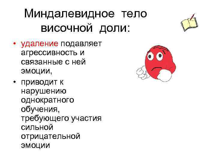 Миндалевидное тело височной доли: • удаление подавляет агрессивность и связанные с ней эмоции, •