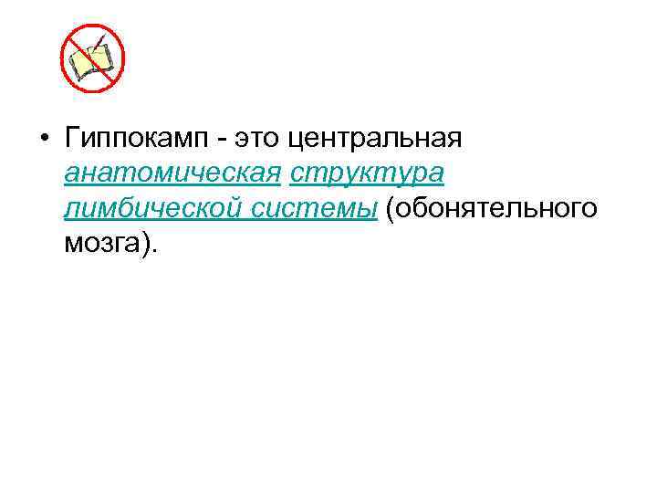  • Гиппокамп - это центральная анатомическая структура лимбической системы (обонятельного мозга). 