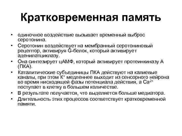 Кратковременная память • одиночное воздействие вызывает временный выброс серотонина. • Серотонин воздействует на мембранный