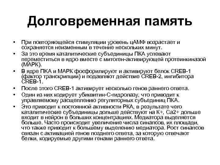 Долговременная память • • • При повторяющейся стимуляции уровень ц. АМФ возрастает и сохраняется