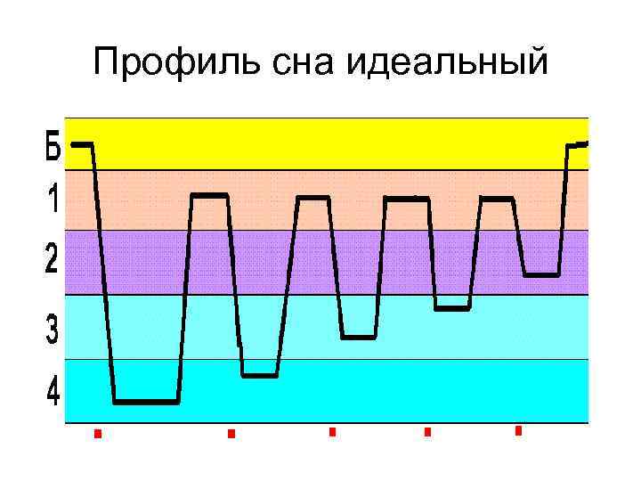 Профиль сна идеальный 