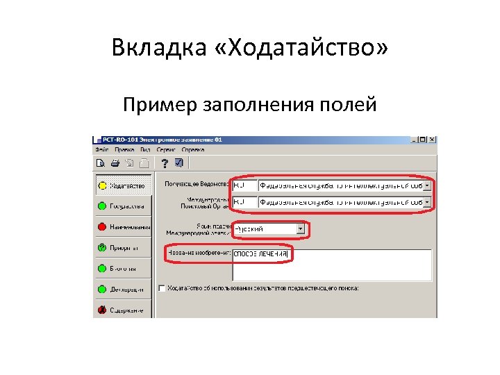 Вкладка «Ходатайство» Пример заполнения полей 