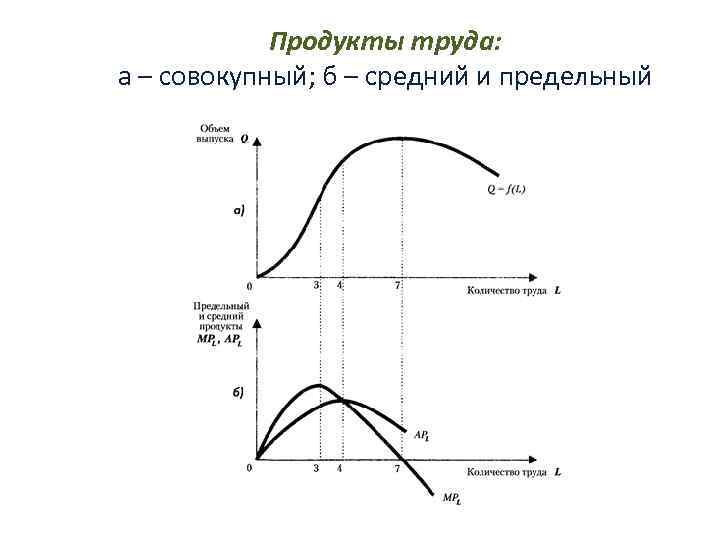 Продукты труда: а – совокупный; б – средний и предельный 