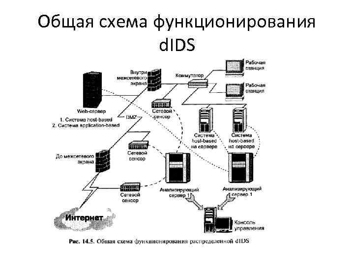 Общая схема функционирования d. IDS 