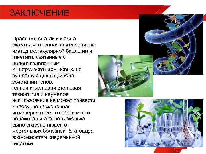 ЗАКЛЮЧЕНИЕ Простыми словами можно сказать, что генная инженерия это -метод молекулярной биологии и гинетики,