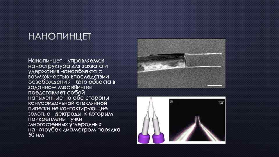 НАНОПИНЦЕТ – УПРАВЛЯЕМАЯ НАНОСТРУКТУРА ДЛЯ ЗАХВАТА И УДЕРЖАНИЯ НАНООБЪЕКТА С ВОЗМОЖНОСТЬЮ ВПОСЛЕДСТВИИ ОСВОБОЖДЕНИ Я
