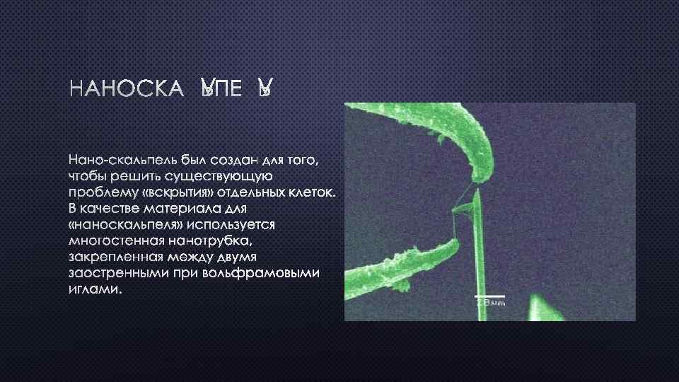 НАНОСКАЛЬПЕЛЬ НАНО-СКАЛЬПЕЛЬ БЫЛ СОЗДАН ДЛЯ ТОГО, ЧТОБЫ РЕШИТЬ СУЩЕСТВУЮЩУЮ ПРОБЛЕМУ «ВСКРЫТИЯ» ОТДЕЛЬНЫХ КЛЕТОК. В