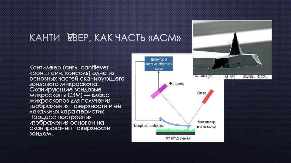 КАНТИЛЕВЕР, КАК ЧАСТЬ «АСМ» КАНТИЛЕ ВЕР (АНГЛ. CANTILEVER — КРОНШТЕЙН, КОНСОЛЬ) ОДНА ИЗ ОСНОВНЫХ