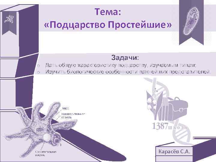 Тема: «Подцарство Простейшие» Задачи: o Дать общую характеристику подцарству, изучаемым типам; o Изучить биологические