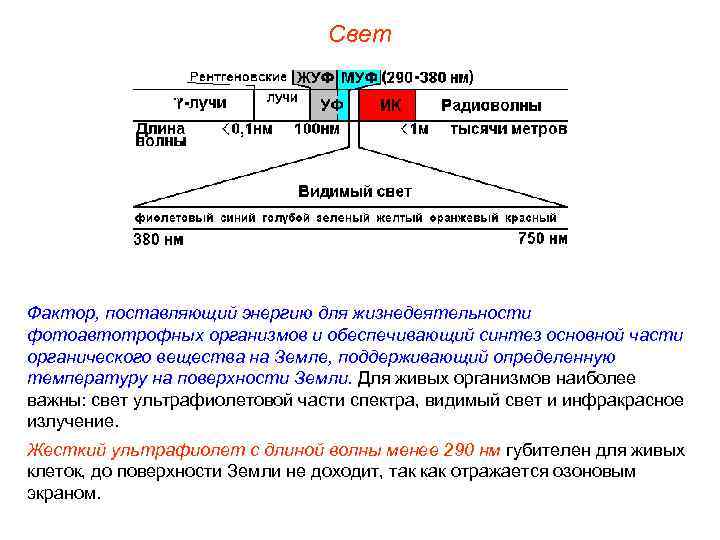 Свет Фактор, поставляющий энергию для жизнедеятельности фотоавтотрофных организмов и обеспечивающий синтез основной части органического