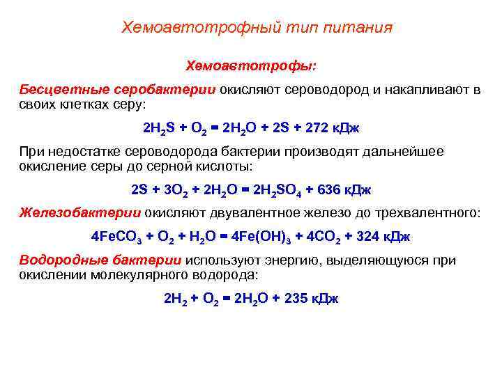 Хемоавтотрофный тип питания Хемоавтотрофы: Бесцветные серобактерии окисляют сероводород и накапливают в своих клетках серу: